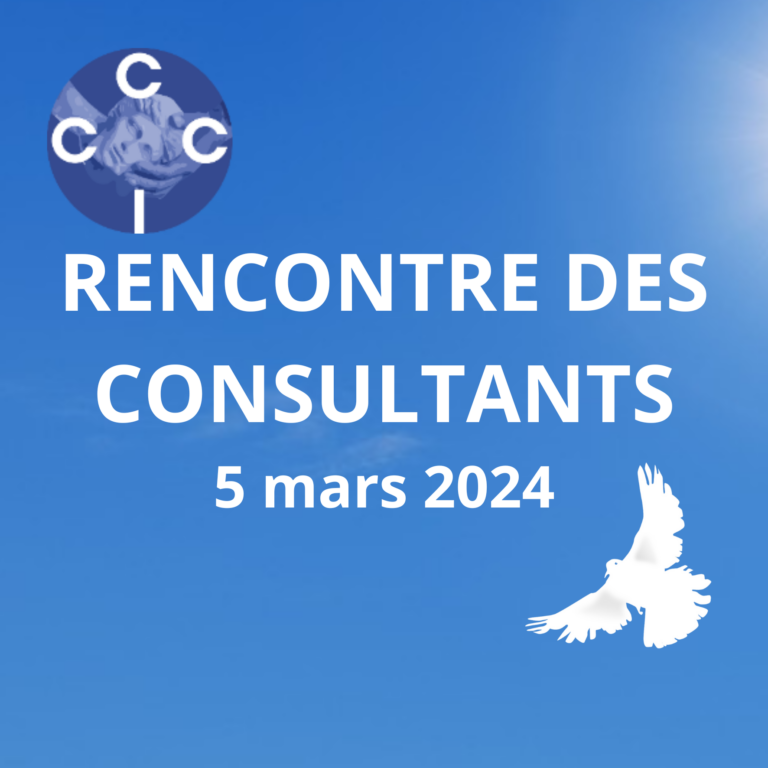 Réflexions des « Consultants »